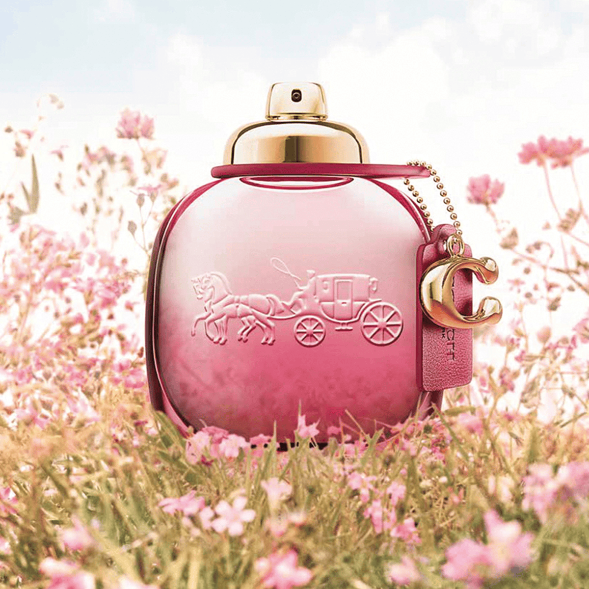 Coach-Wild Rose-Eau de Parfum-50ml