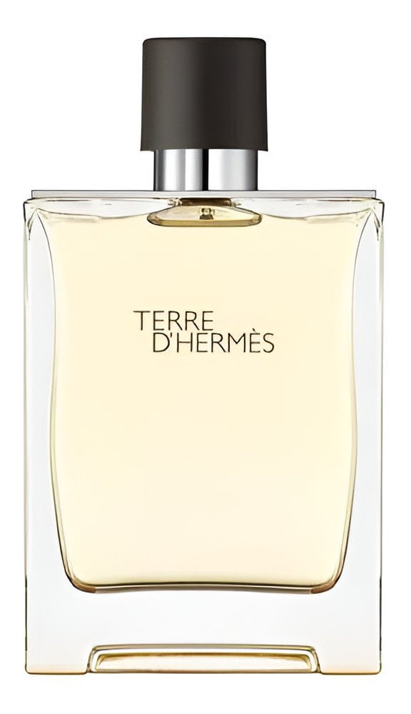 Hermès -Terre d'Hermès-Eau De Toilette-100ml