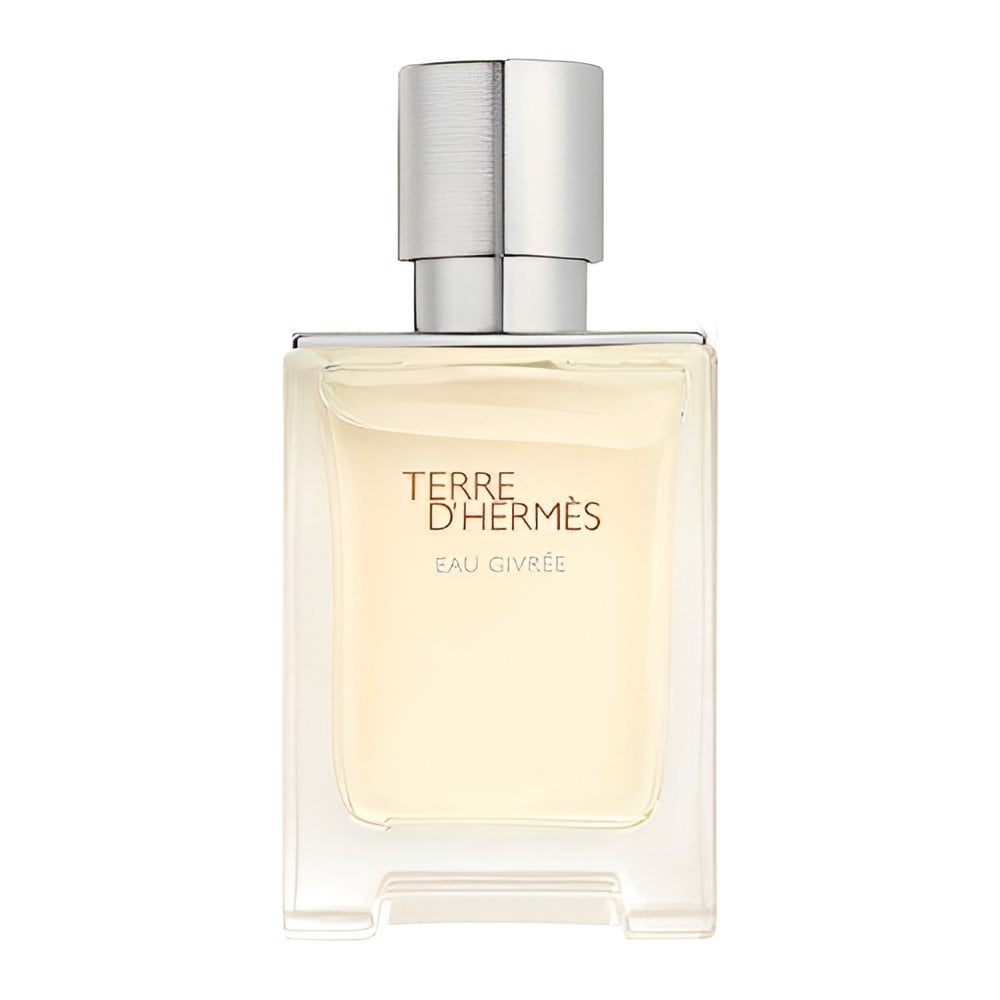 Hermès-Terre D’Hermès Eau Givrée-Eau de Parfum-100ml