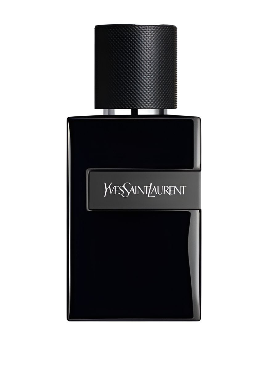 Yves Saint Laurent-Y- Le Parfum-100ml