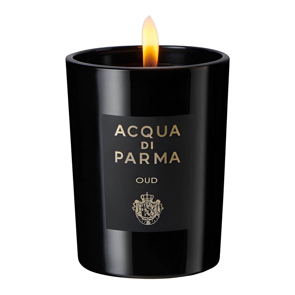 Acqua di Parma-Oud-Eau de Parfum-100ml