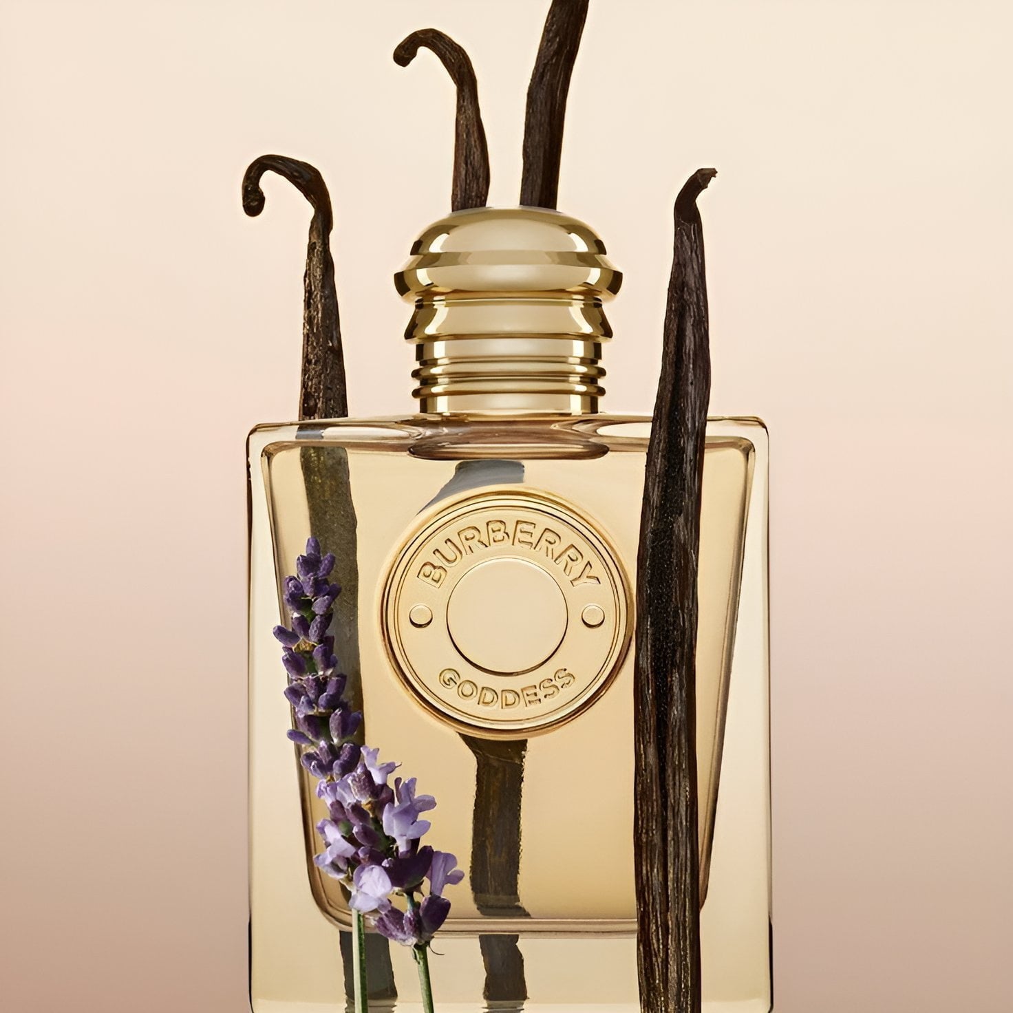 Burberry(2023)-Goddess-Eau de Parfum-100ml